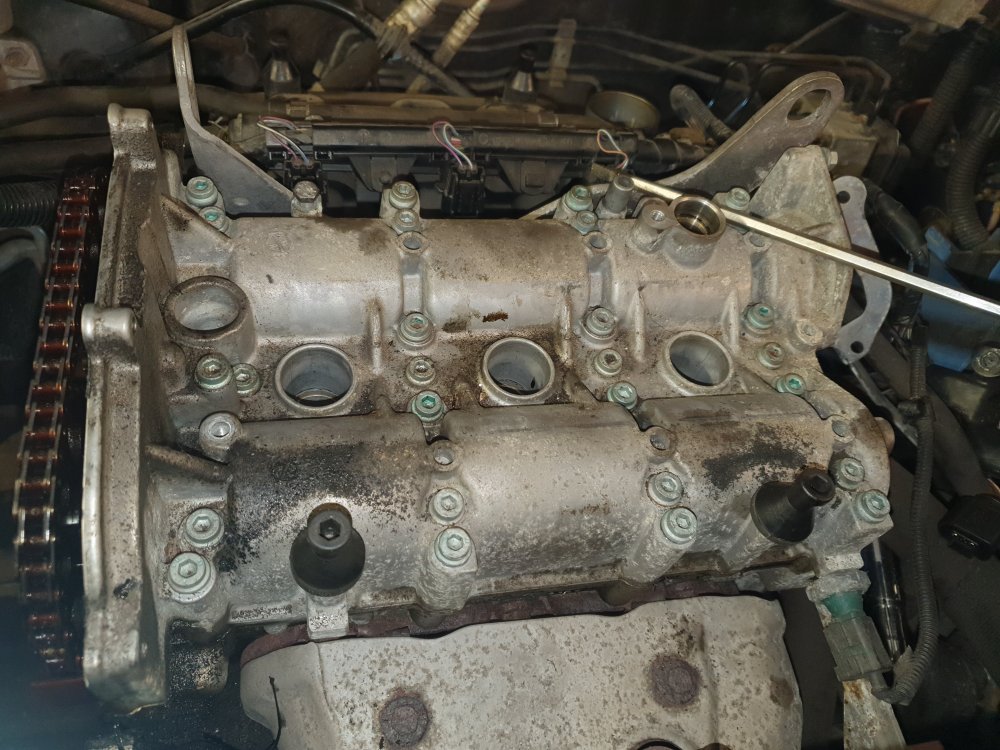 20190901_170259.jpg