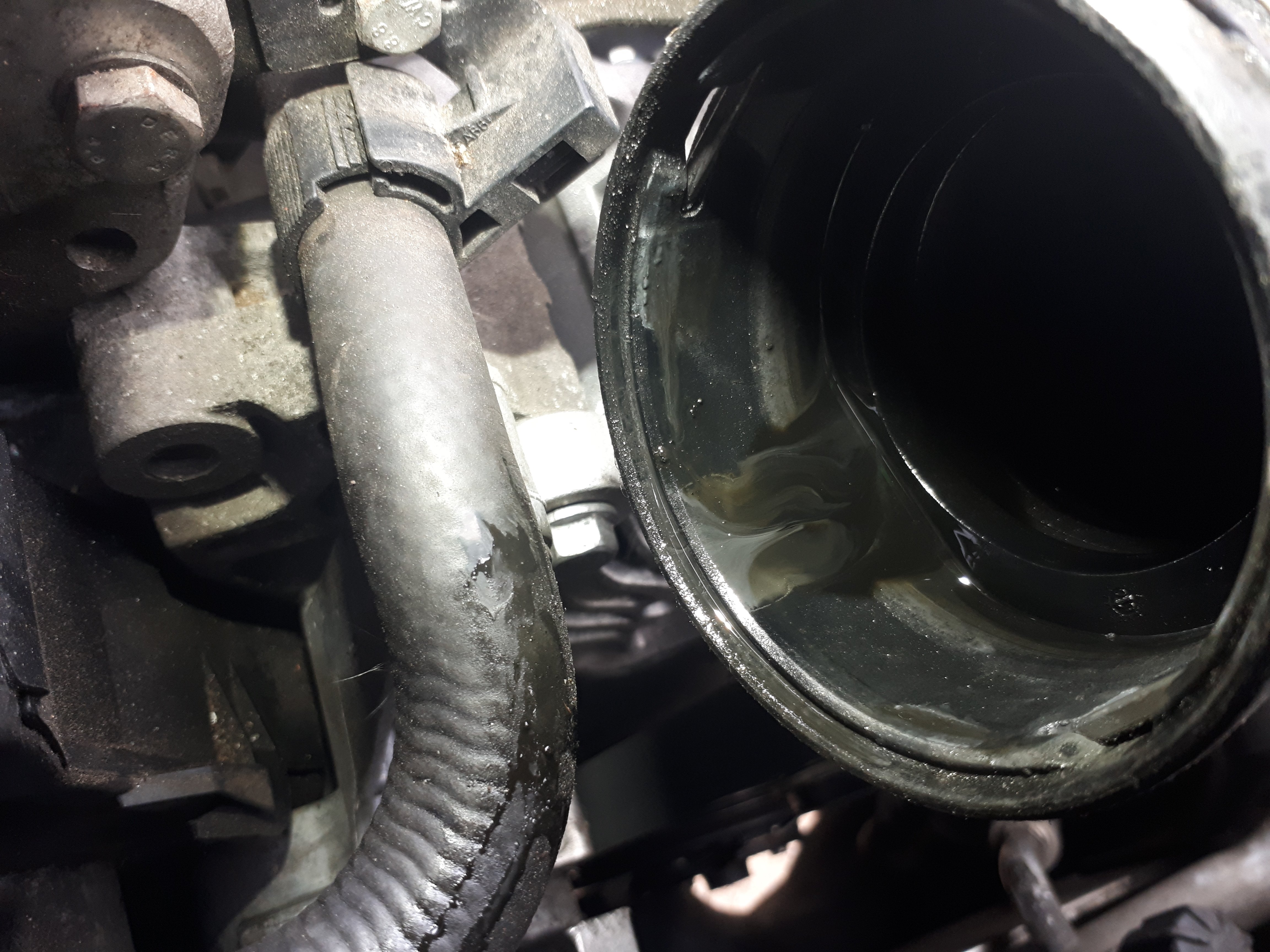 Oil leak Skoda Octavia Mk II (2004 2013) BRISKODA