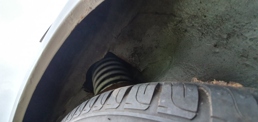 20190926_183046.jpg