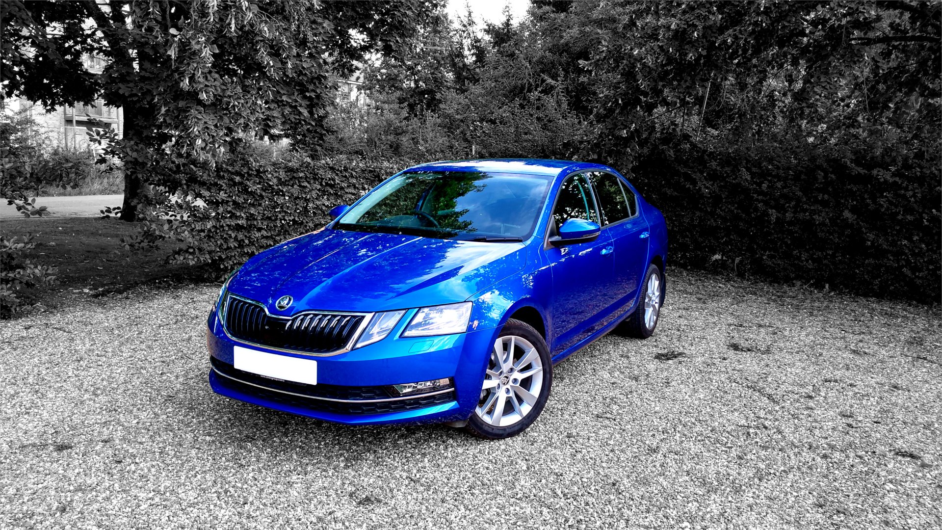 Enter Blue Octavia hatchback Hellos and Goodbyes BRISKODA