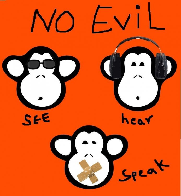 The_three_monkeys.jpg.e6b5fbe6aa91b24664e82a0d4fa63dfc.jpg.1e103eb63c6685b6ffb8d3bc37d42fea.jpg