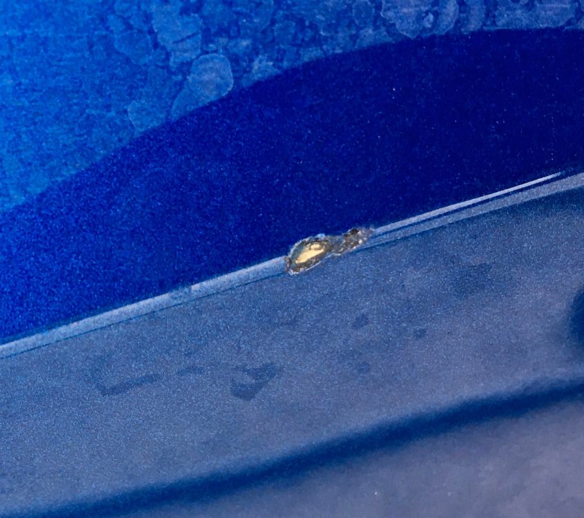 front passenger blue chip.jpg