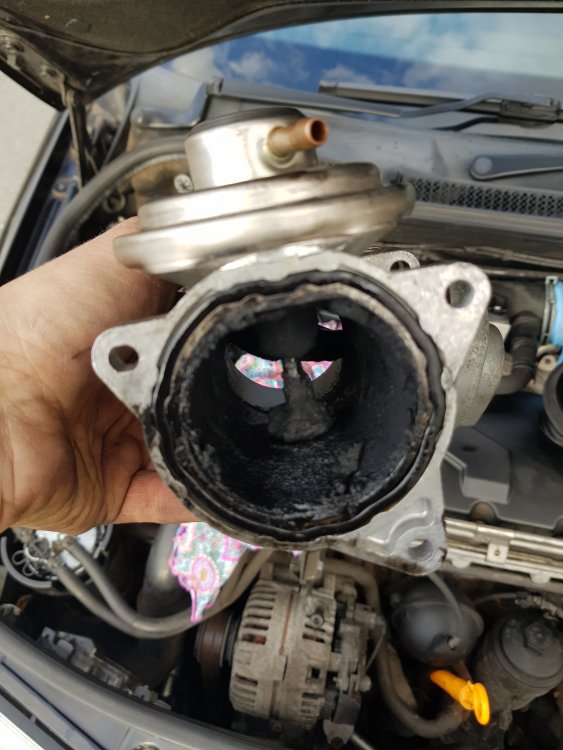 20191002_171034.jpg