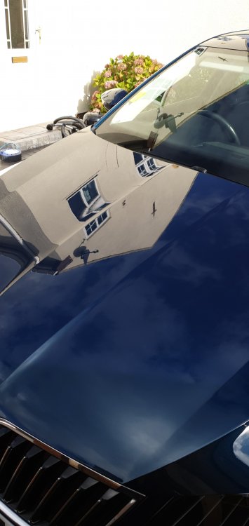 IMG-20191009-WA0013.jpeg