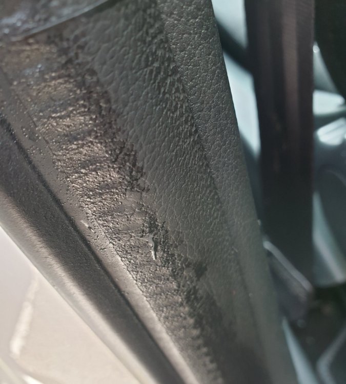 Screenshot_20191028-175359_Gallery.thumb.jpg.e2ba105c52a637101f4a68fd71367d15.jpg