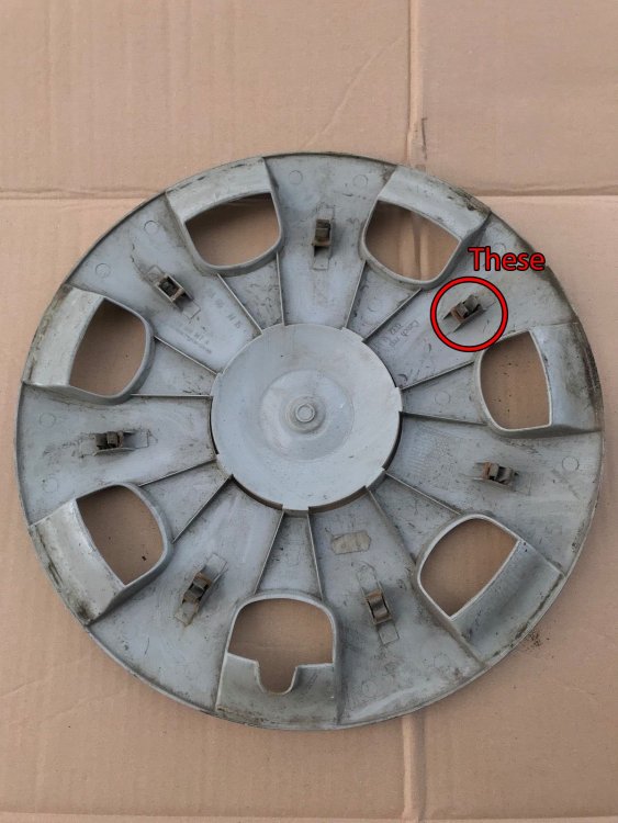 test.jpg
