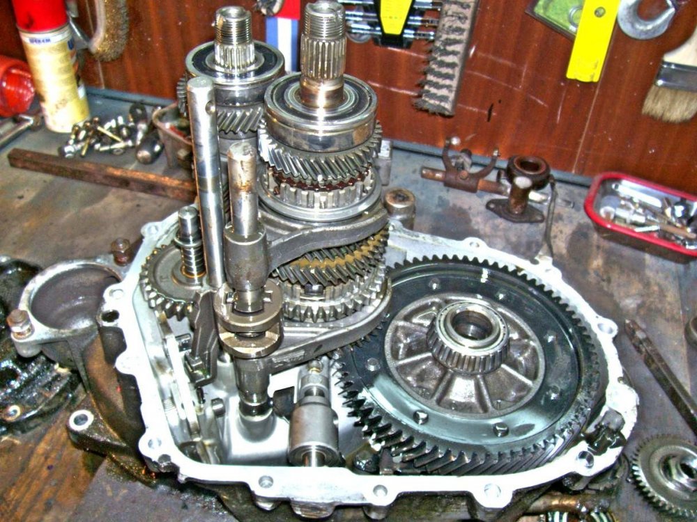 1000974g.jpg