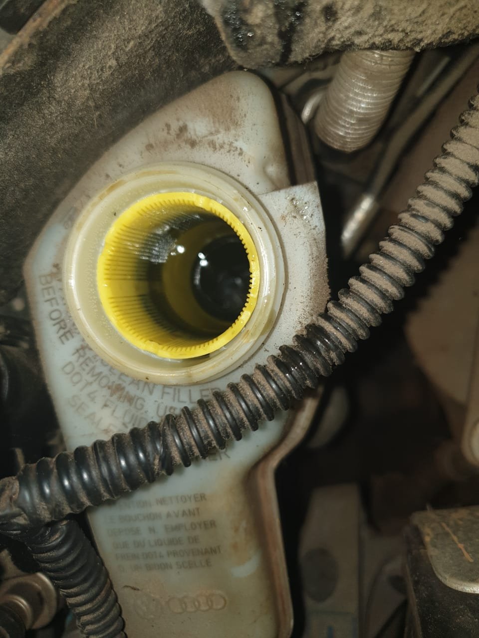 Brake fluid leak Skoda Yeti BRISKODA