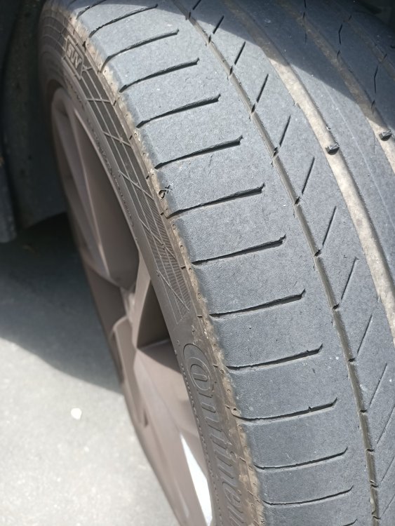 IMG20191129121801.jpg