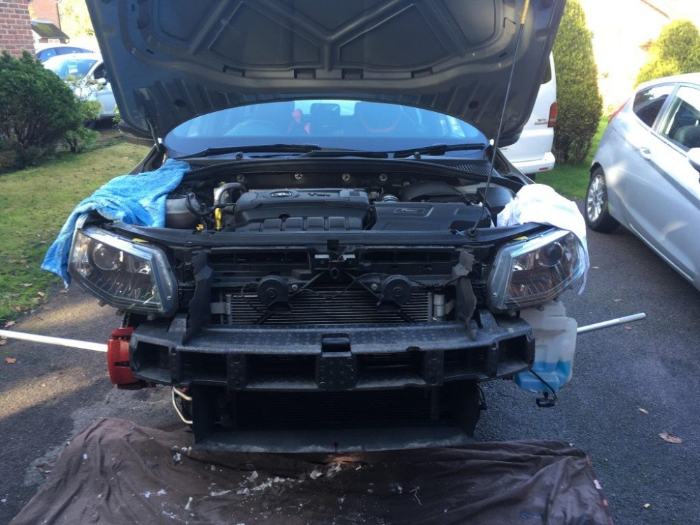 IMG_4148.thumb.jpg.33fe50513ce8394fb826bb7dce9166dc.jpg