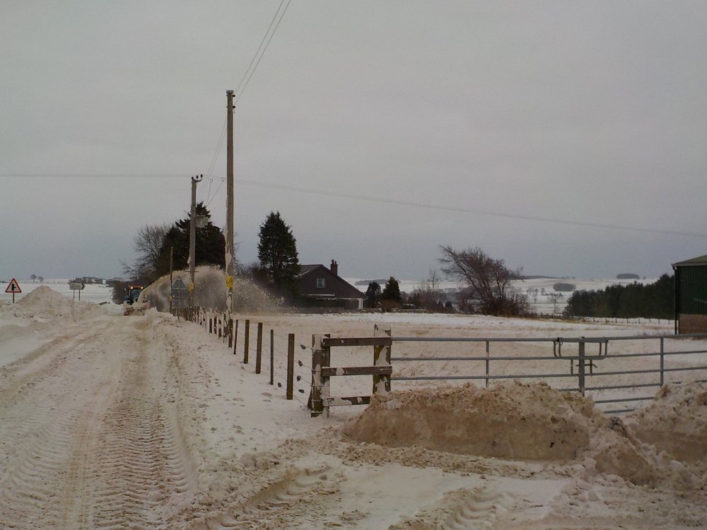 DSCN3921.JPG