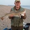 Tonyfish