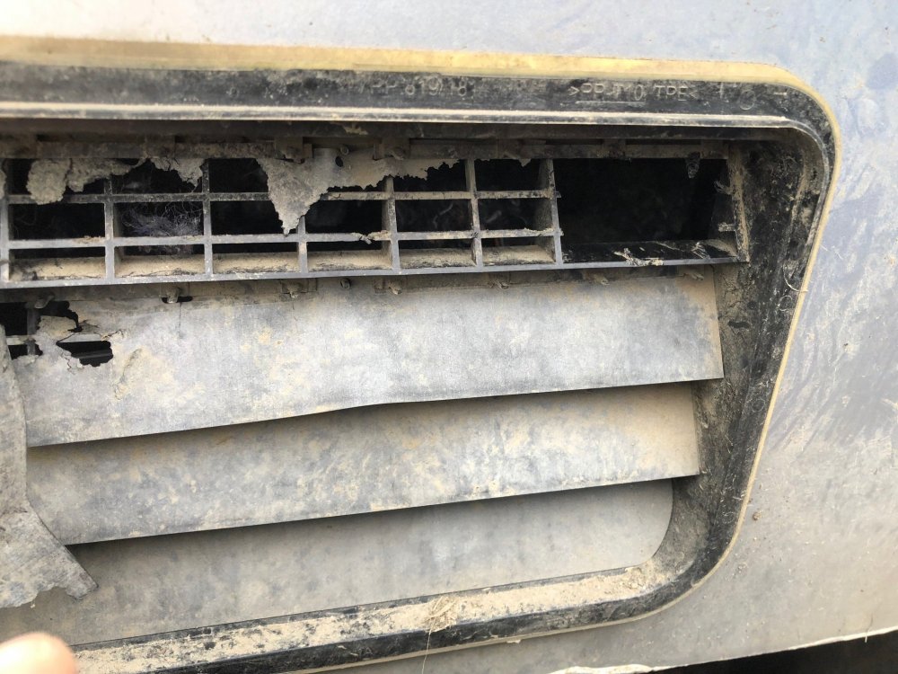 car 1.jpg