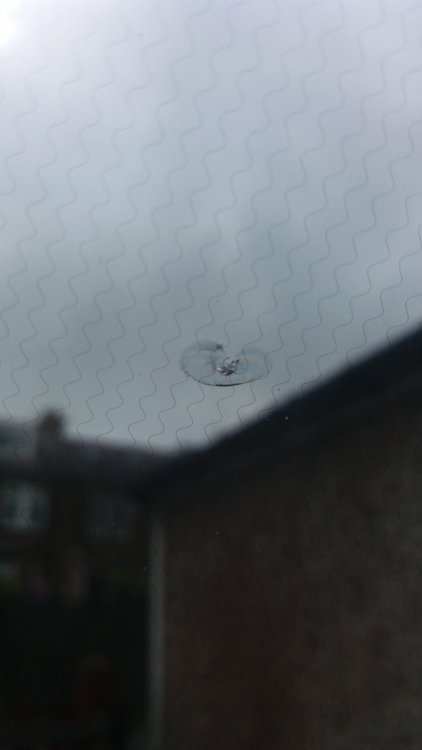 20180528_110303.jpg