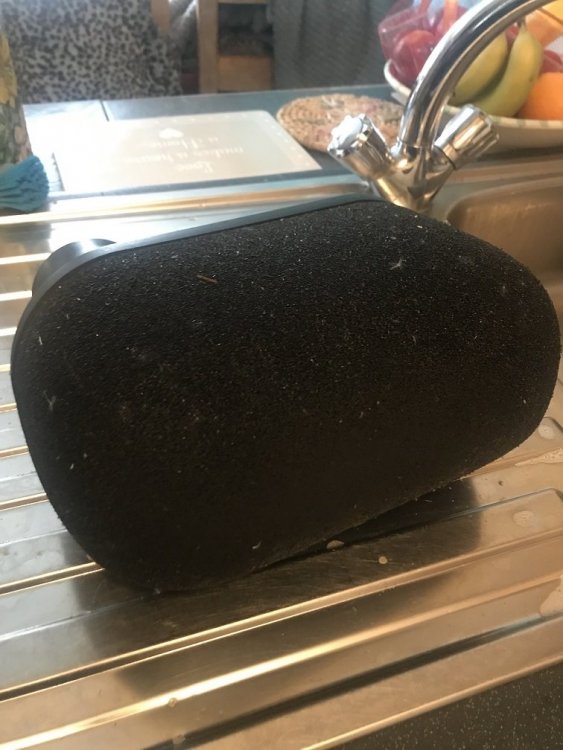 20190529_145742744_iOS.jpg