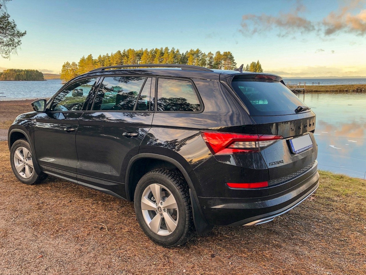 Kodiaq on sale mud flaps