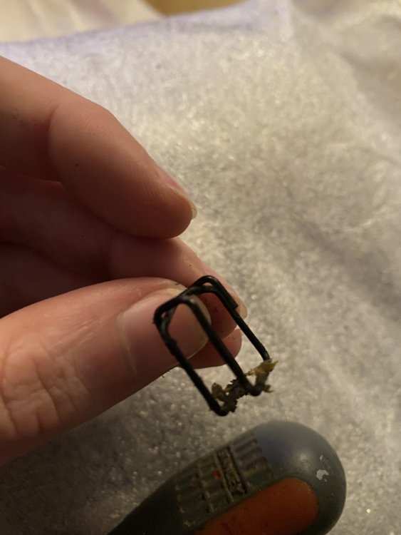 E366678D-06B1-4C7D-8589-DF45584DA2E5.thumb.jpeg.5677feb2587557640aaead599b2a0d73.jpeg