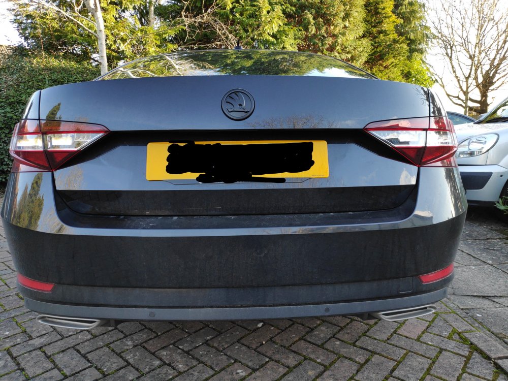 Skoda-debadged-no-plate.jpg
