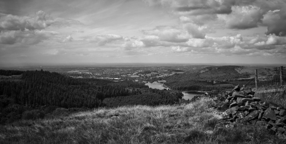 _MG_7646.jpg