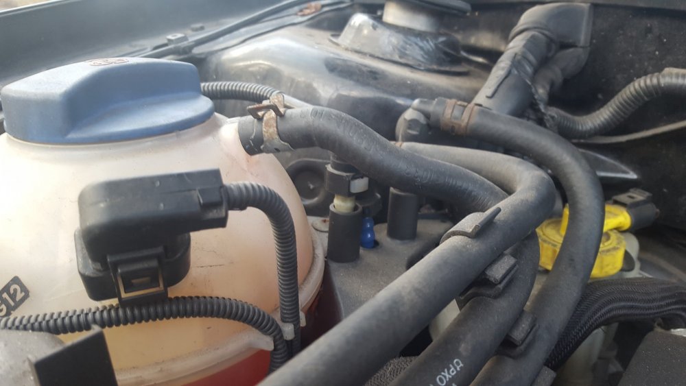 fuel injection pipes 2.jpeg