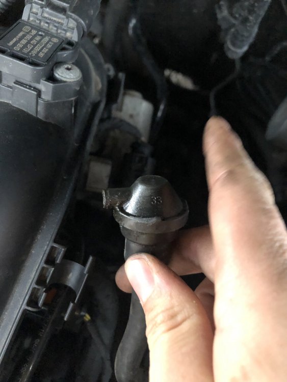 4826F317-F40C-45ED-891D-B07522F23013.jpeg