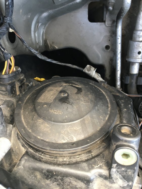 6DF281E2-AE88-47F1-AB22-E09F1242D7D1.jpeg