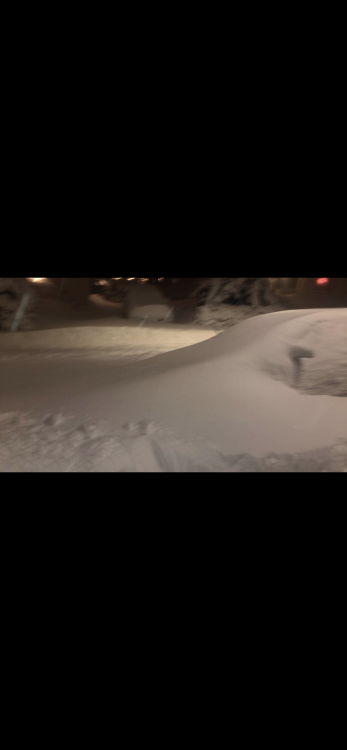 71034669-801D-4365-9F97-5F718BAC259A.png