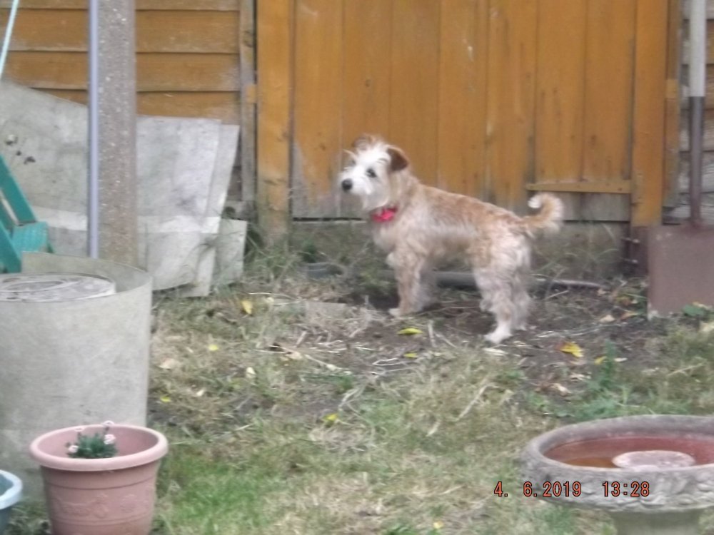 DSCF0409.JPG