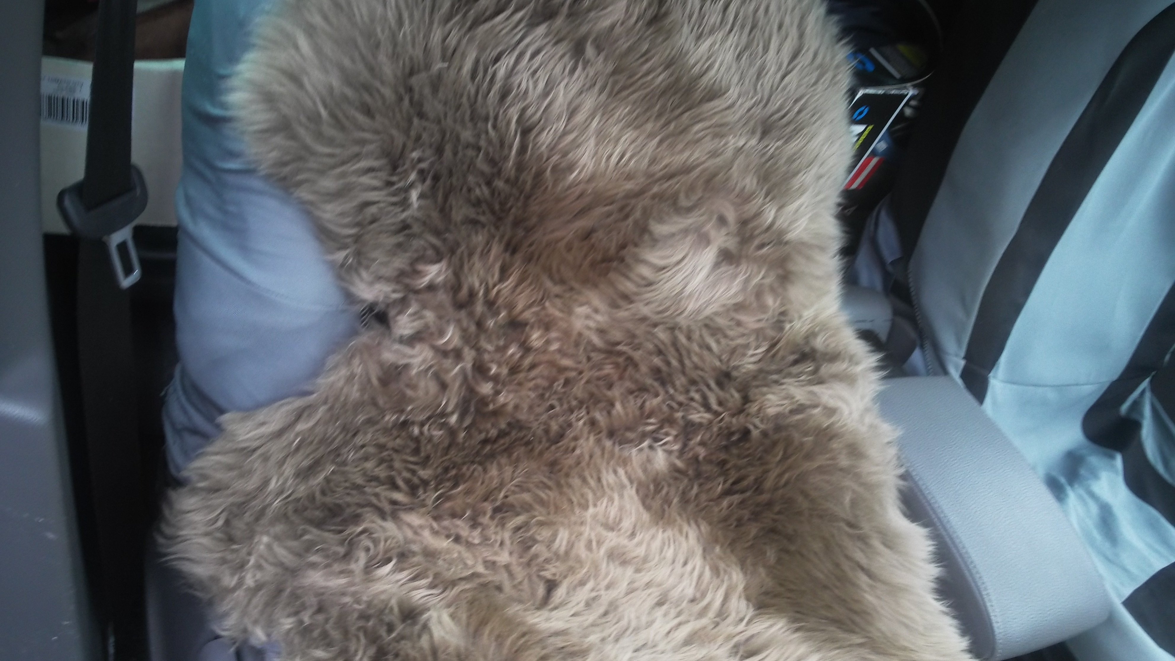 Car seat cover or cushion sought