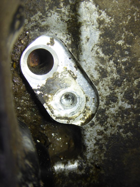 P1100653NS_REAR.JPG