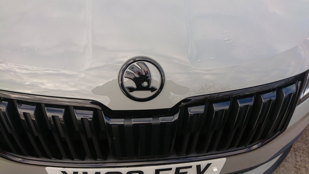 colored front emblem.JPG