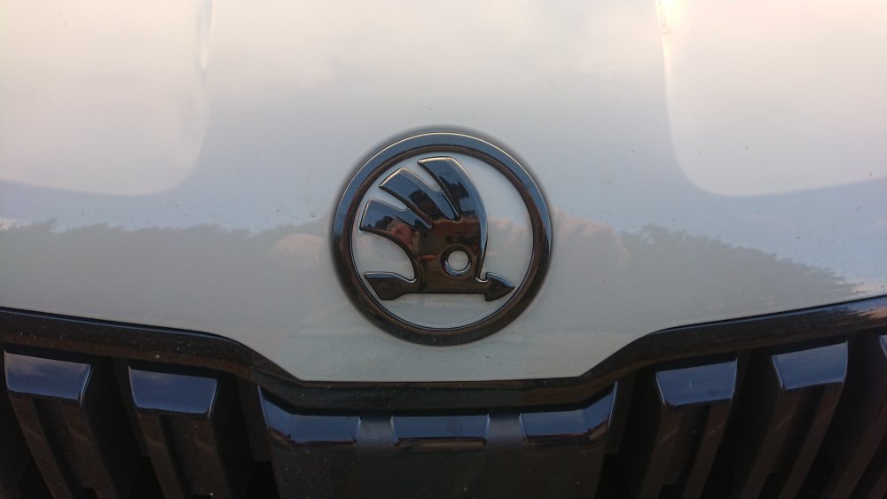 colered front emblem0.JPG