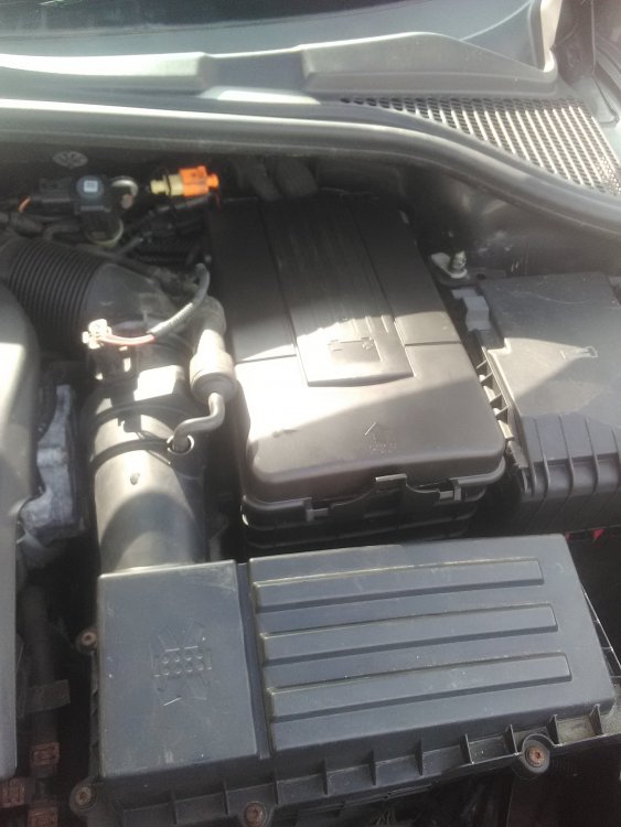IMG_20200319_143416[1].jpg