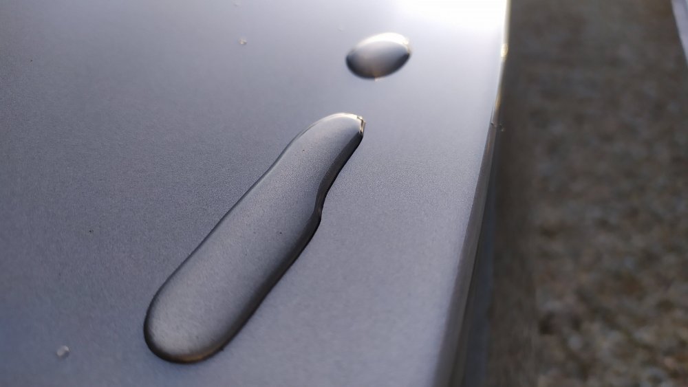 IMG_20200301_171043.jpg
