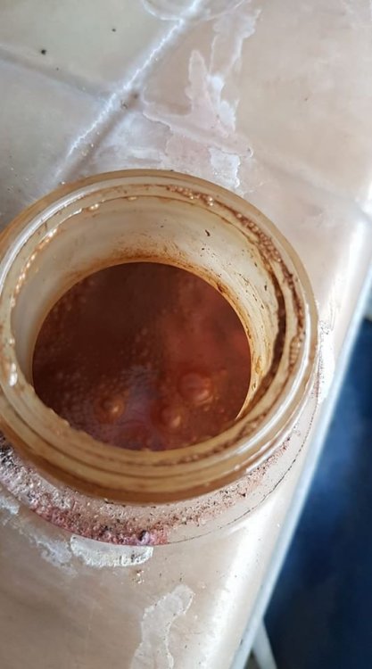 coolant.thumb.jpg.4f1008ea6f768225ffb55c3e8c3a1a21.jpg