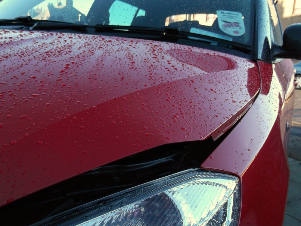 Bonnet and Front Panel Old Flabio 016.JPG