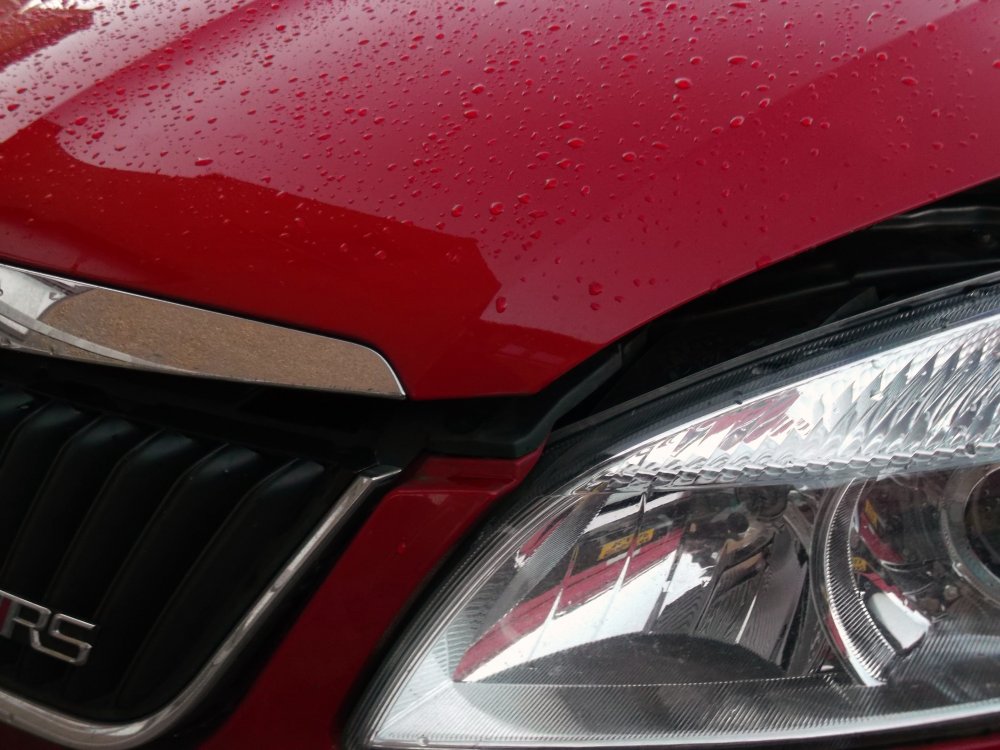 Bonnet and Front Panel Old Flabio 014.JPG