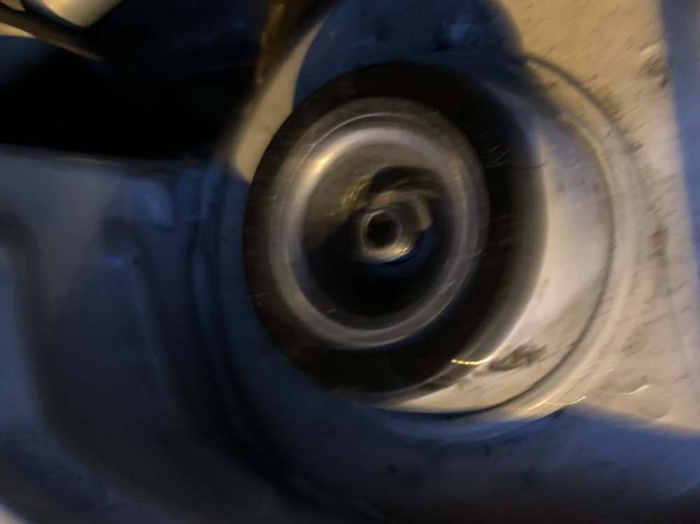 A769F005-F950-477F-A12F-FE44DDAB539F.thumb.jpeg.59566c8f4cc08919921bf1cc85b5e23b.jpeg