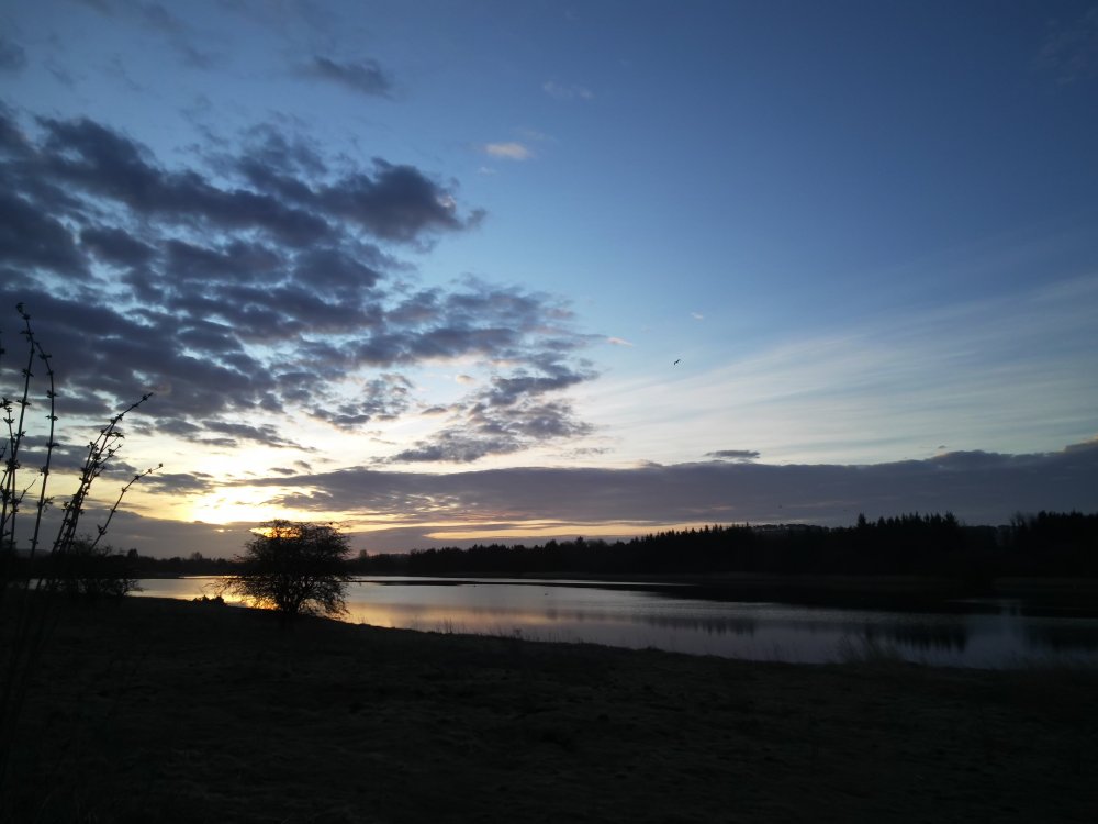 DSCN4553.JPG