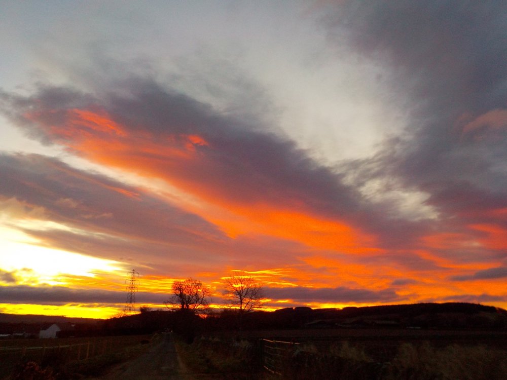 DSCN5187.JPG