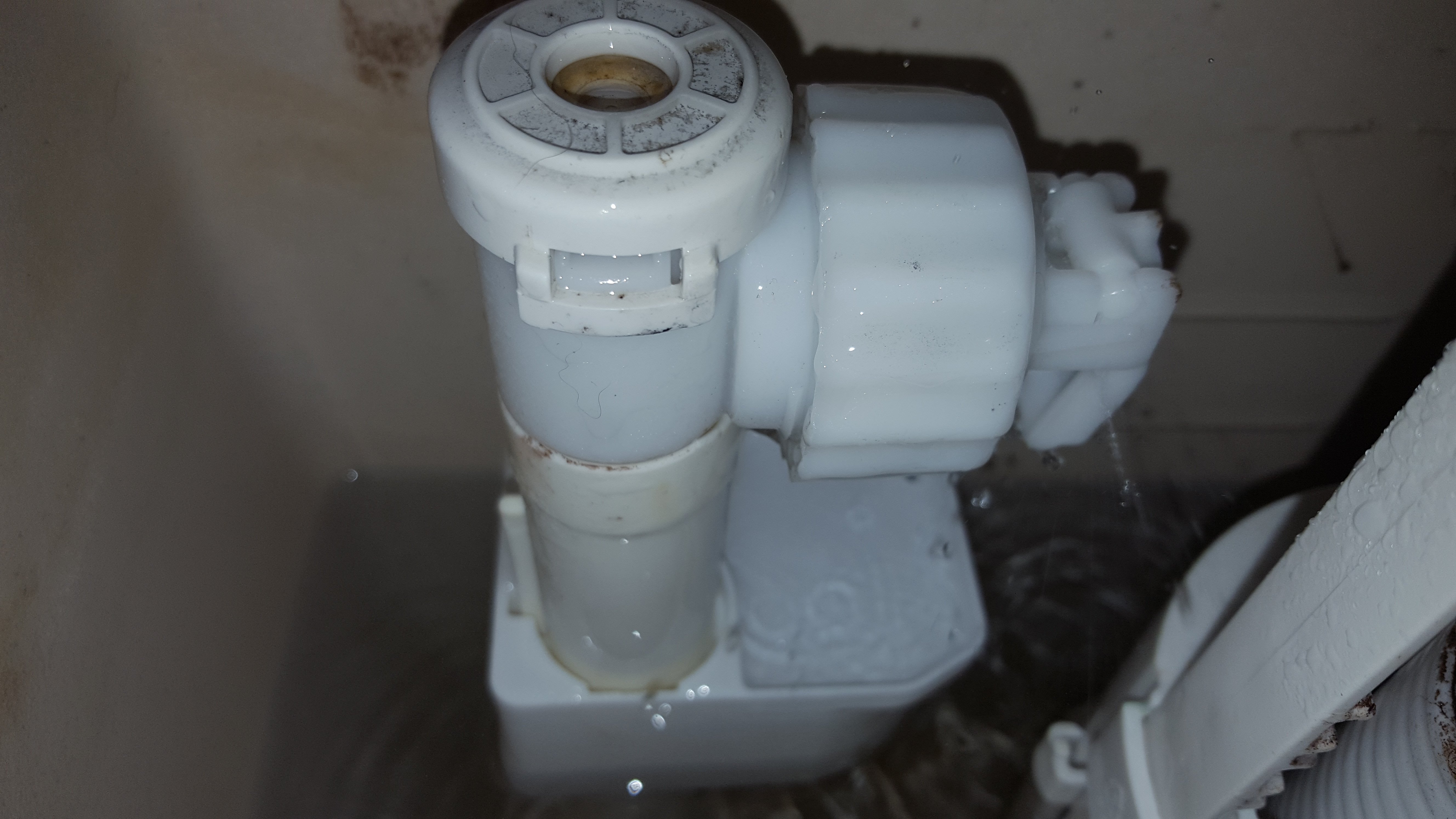 Homebase Toilet Inlet Valve Julia Jones blog