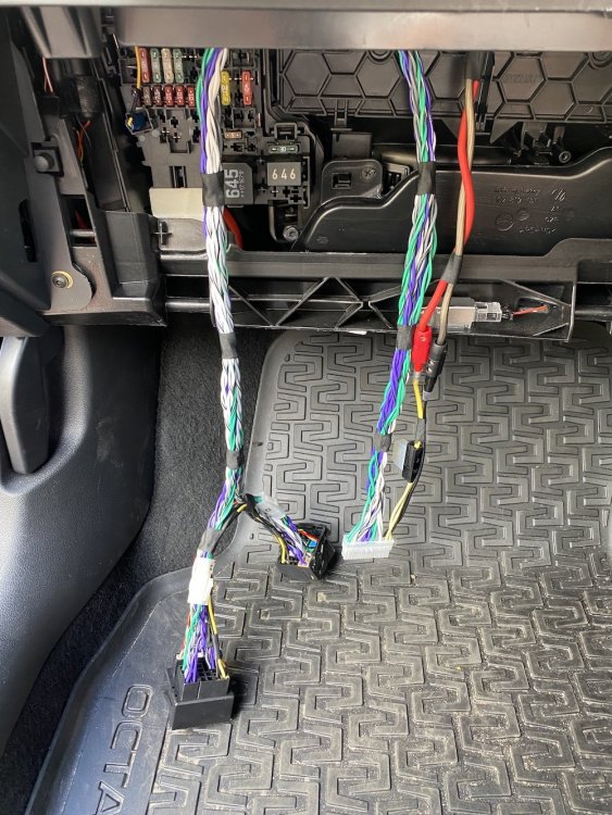 673704109_CablesDressed.thumb.JPG.d0956f6461283ded74455ca99dc2db72.JPG