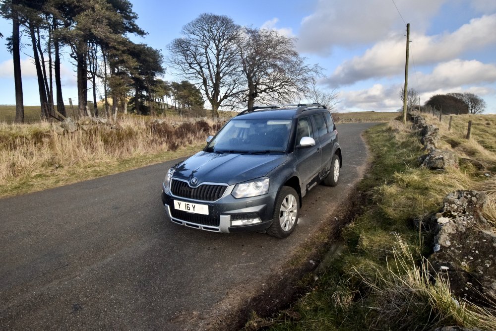 DSC_0038.jpeg