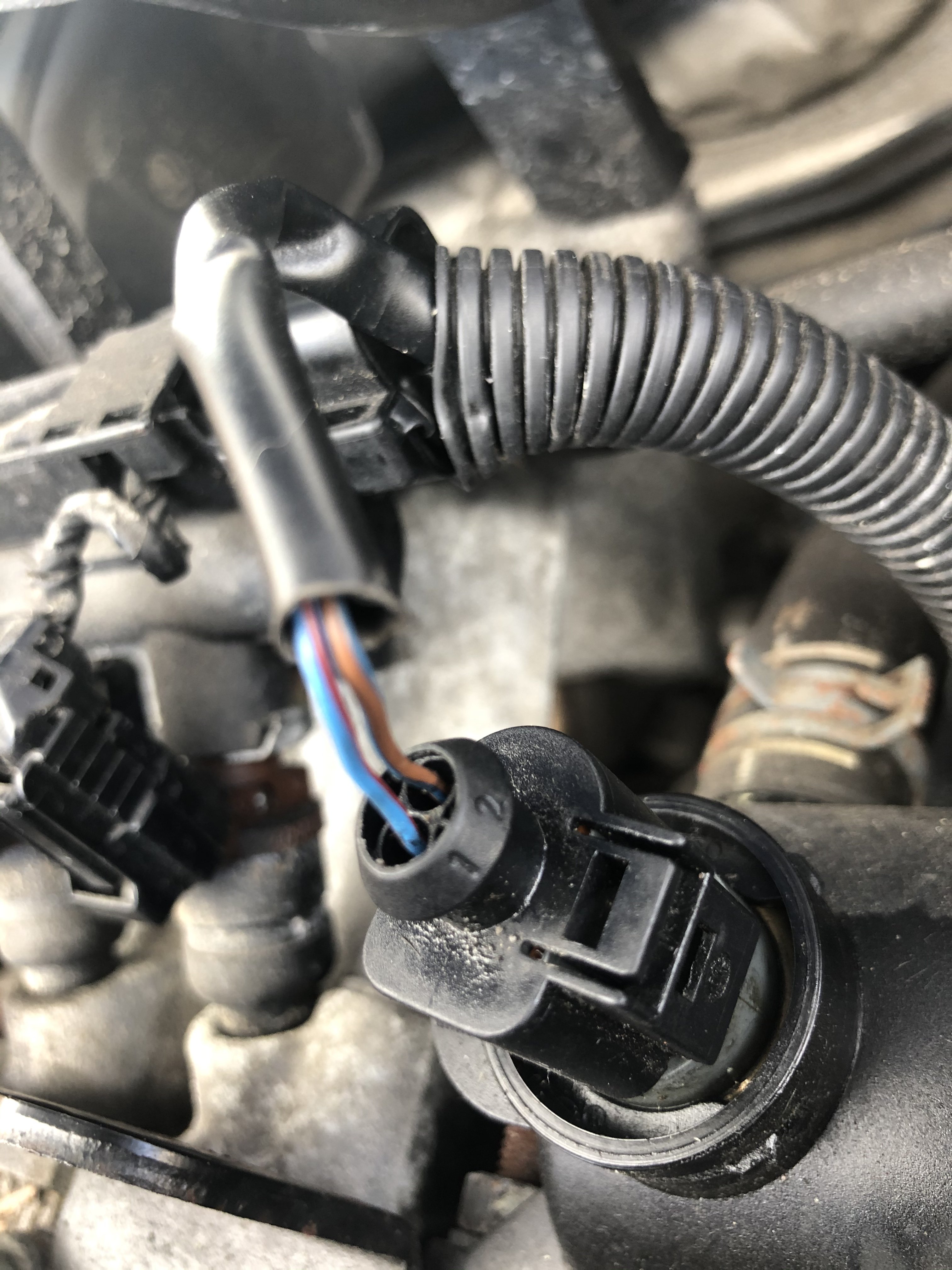 Engine Coolant Temp Sensor - Diagnostics & VCDS - BRISKODA