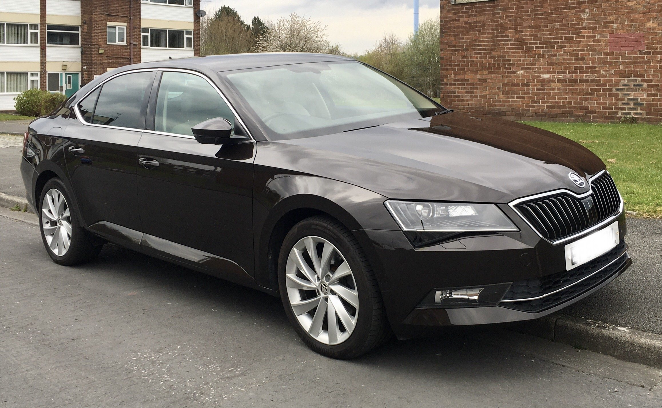 Magnetic brown skoda