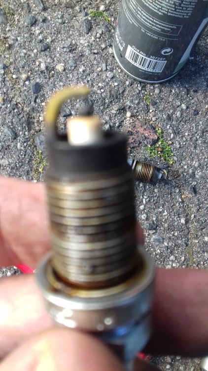 plug.jpg