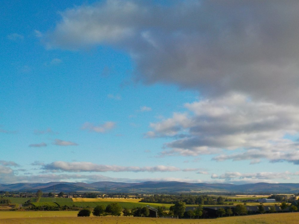 DSCN5317.JPG