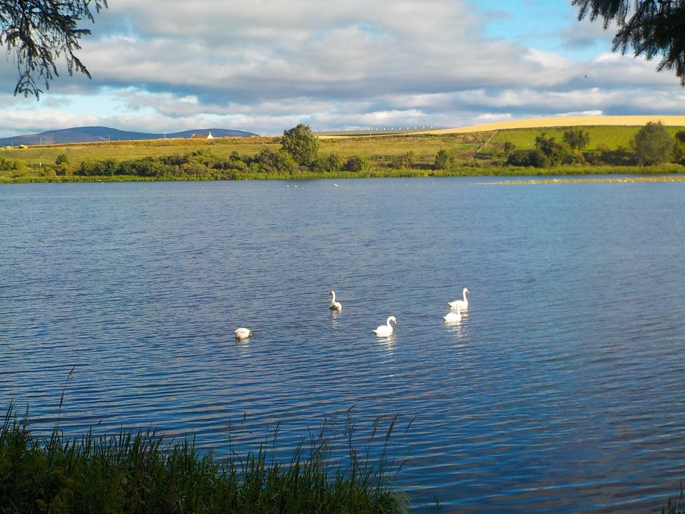 DSCN5323.JPG