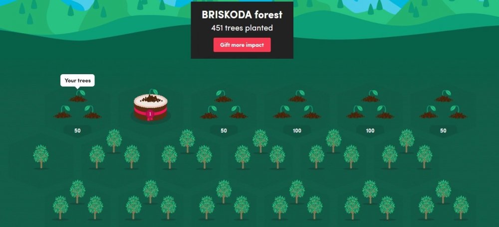 briskitree.thumb.jpg.acd36cad7492838f4491aa949b518956.jpg