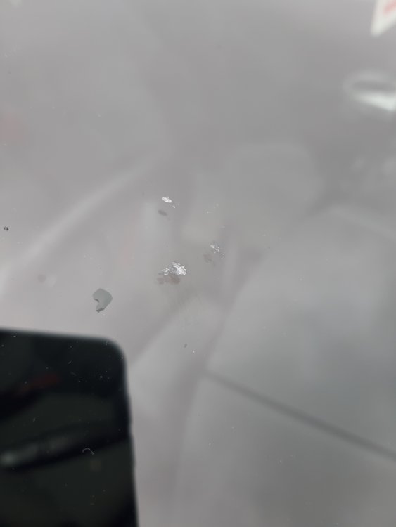 20200805_162058.jpg